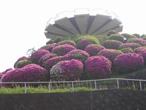 展望台
