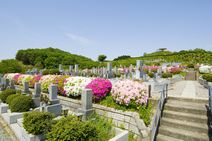 高安山霊園・園内のつつじ