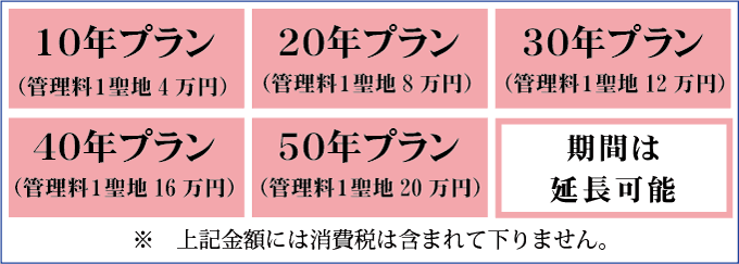 有期限システム