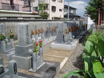 尊重寺・墓地風景