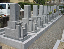 セット墓地