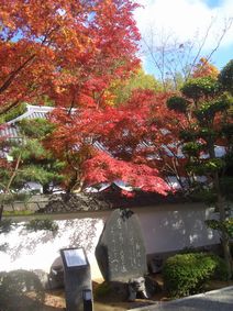 伊勢寺のもみじ