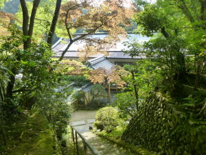 楠妣庵観音寺.jpg4jpg.jpg