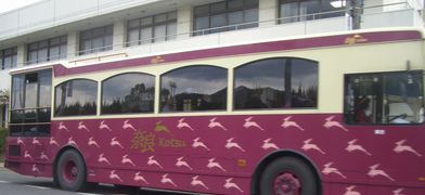 奈良市内を走るバス.jpg