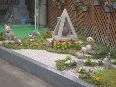 植え替え.jpg
