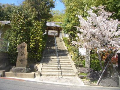 伊勢寺の桜2.jpg