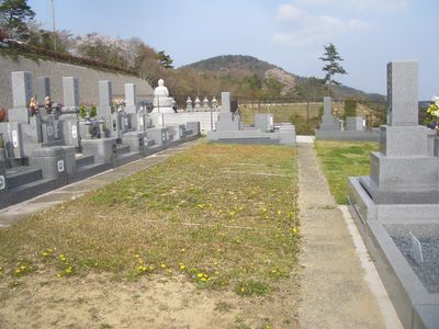 s2.jpg