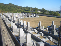 光照台