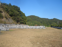 光照台