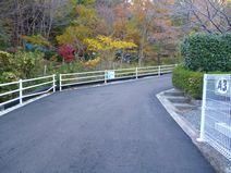 A地区舗装工事完成