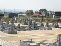 すみれ区