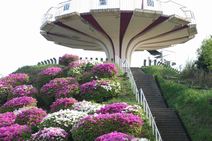 高安山霊園・園内のつつじ