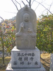 34番・種間寺・薬師如来