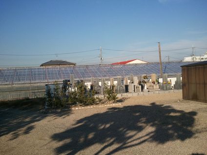 東仙寺墓地風景