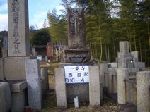 墓地の現状調査