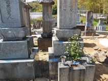 墓地の現状調査