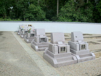 洋碑限定セット地区