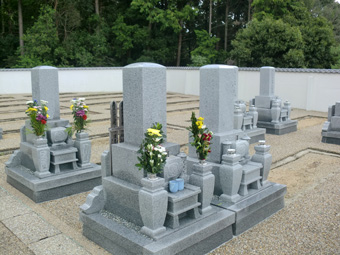 和型限定セット地区