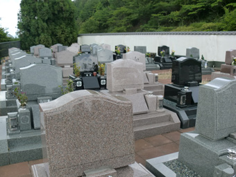 洋碑限定セット地区