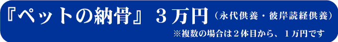 ペットの納骨
