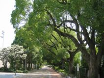 真田山公園